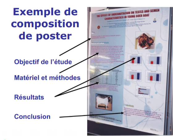Exemple de poster scientifique